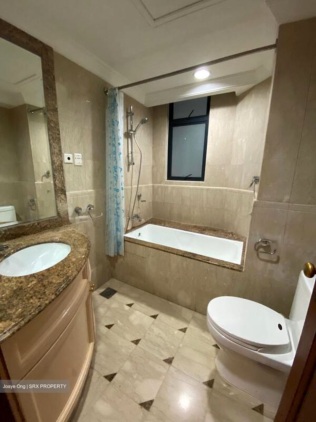 Valley Park (D10), Condominium #499667041